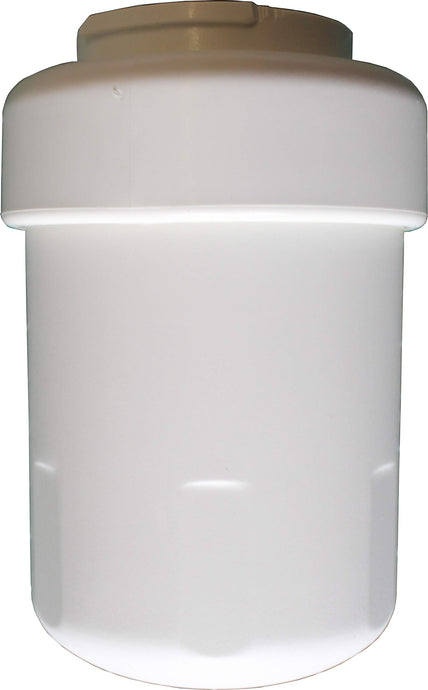 Replacement Refrigerator Water Filter Compatible with GE MWF